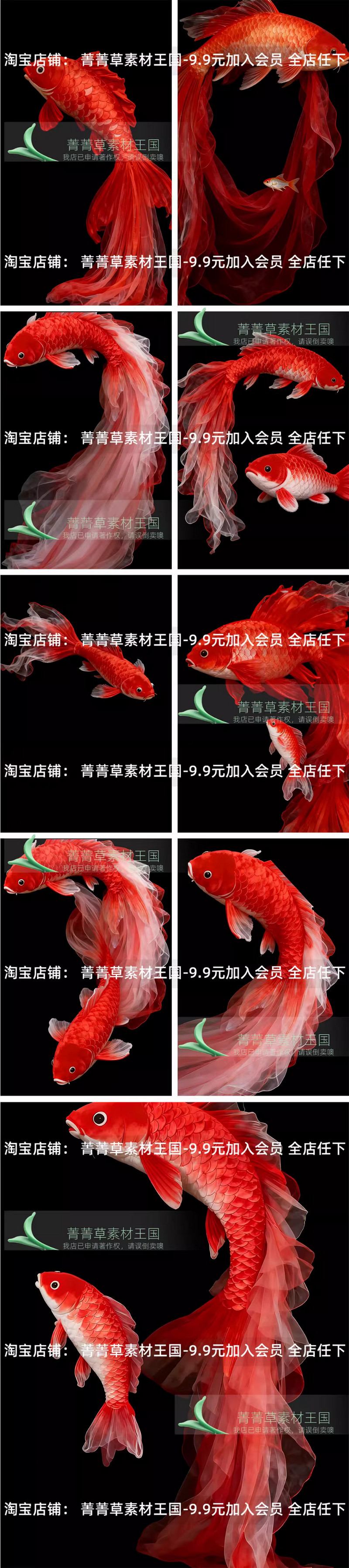 DL-014, Bộ 32 PSD tổng hợp mẫu cá chép Koi đỏ Tết may mắn – phong cách Trung Hoa, file PSD tách lớp (4)